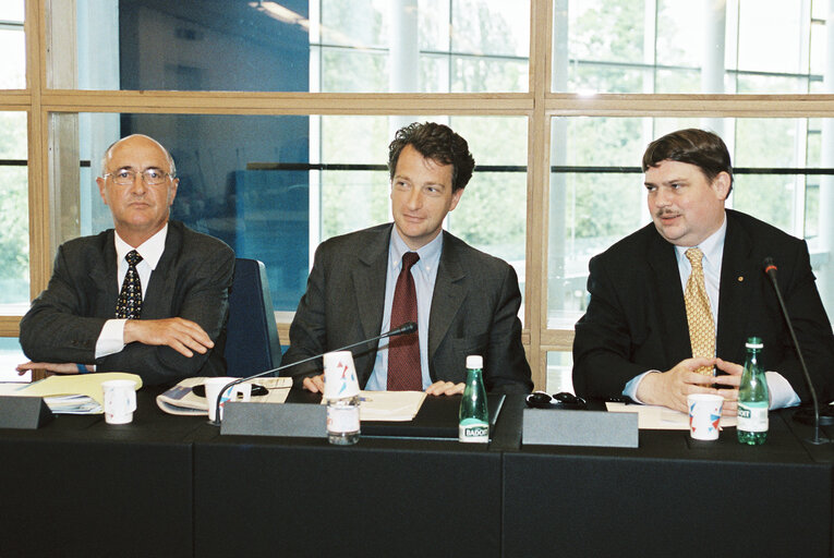 Fotografia 1: Meeting In the European Parliament in Strasbourg in 2001.