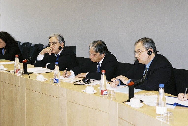 Nuotrauka 4: Meeting at the European Parliament in Brussels