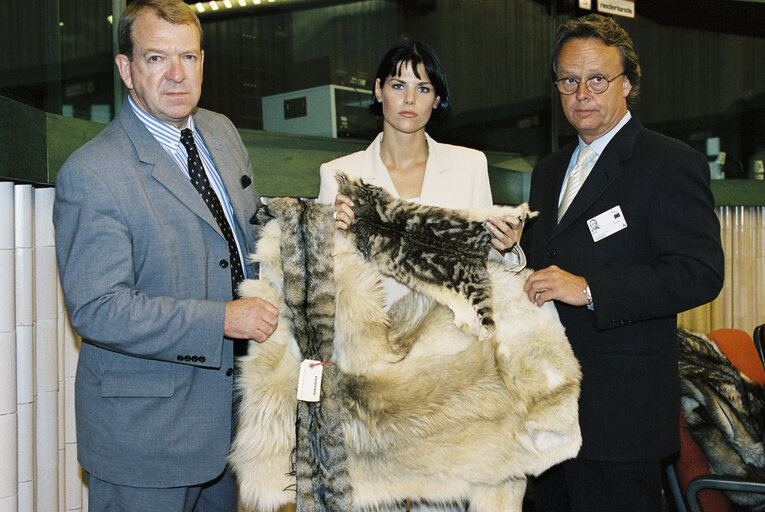 Fotografia 4: Demonstration against wearing Fur