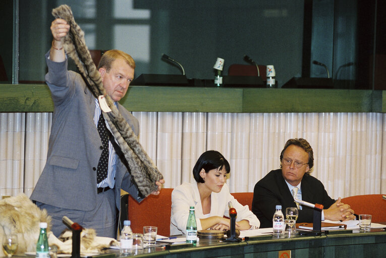 Photo 6: Meeting on Fur Commerce