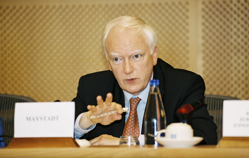 Fotografija 2: Economic and Monetary Affairs Committe in Brussels on July 22, 2001.