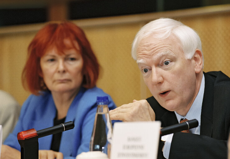 Fotografie 1: Economic and Monetary Affairs Committe in Brussels on July 22, 2001.