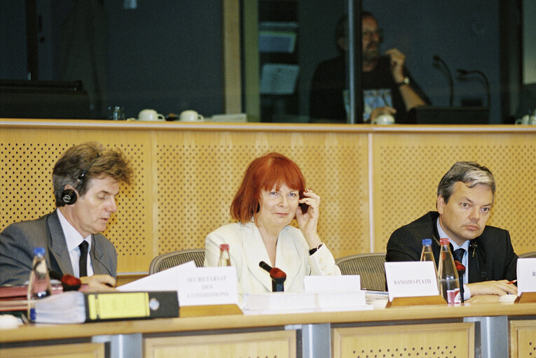 Fotografija 4: Economic and Monetary Affairs Committe in Brussels on July 22, 2001.