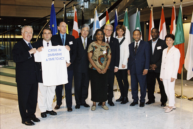 Fotografia 3: MEPs demonstration on the crisis in Zimbabwe