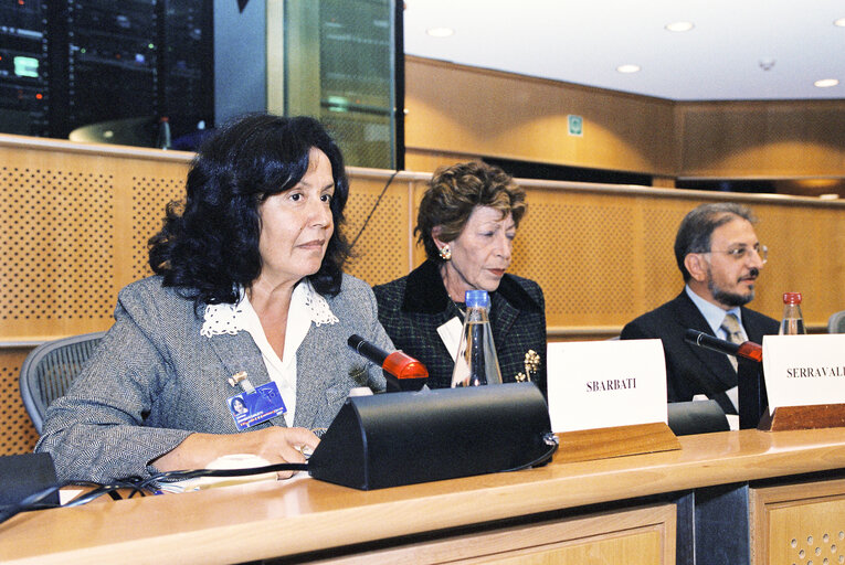 Fotografia 1: Meeting on Equal Opportunities