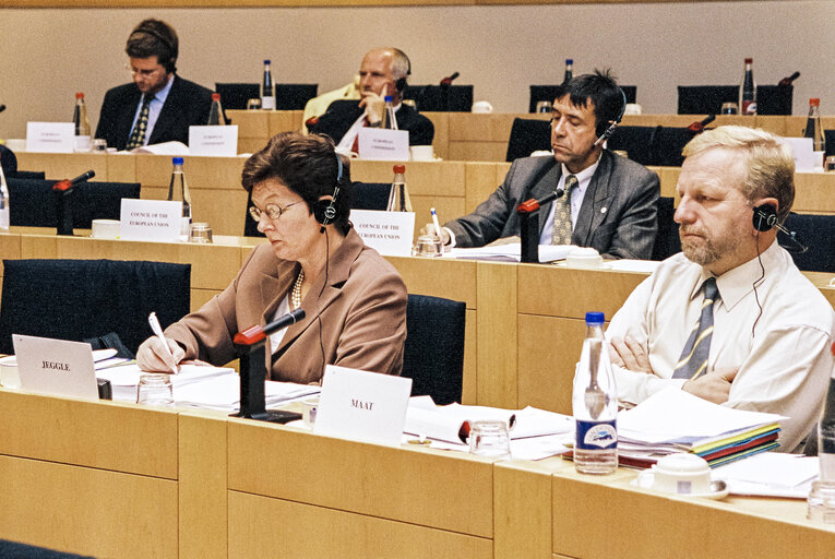 EU-Kyrgystan Meeting at the European Parliament in Brussels