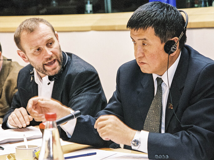 Fotó 6: EU-Kyrgystan Meeting at the European Parliament in Brussels