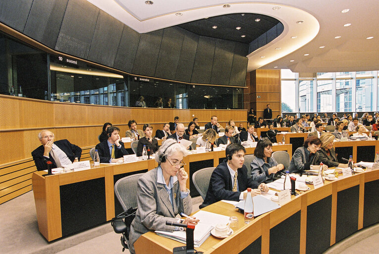 Foto 8: AFCO -  Constitutional Affairs Committee meeting: 'Debate on the future of Europe'