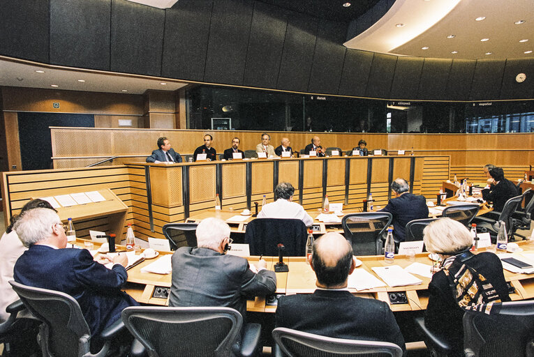 Foto 18: AFCO -  Constitutional Affairs Committee meeting: 'Debate on the future of Europe'