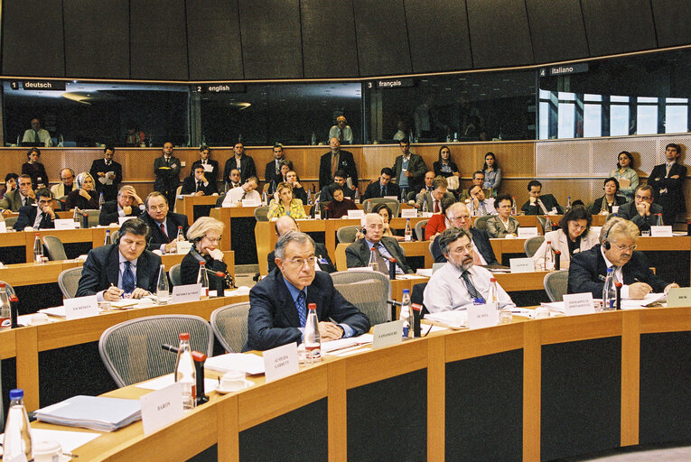 Foto 6: AFCO -  Constitutional Affairs Committee meeting: 'Debate on the future of Europe'