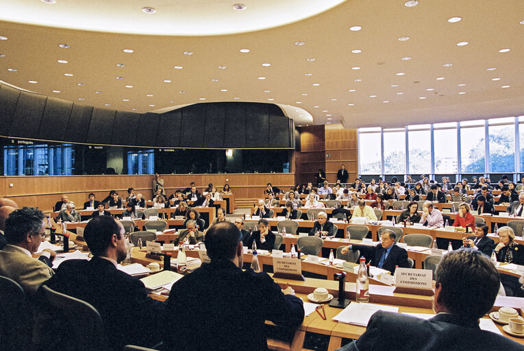 Foto 21: AFCO -  Constitutional Affairs Committee meeting: 'Debate on the future of Europe'