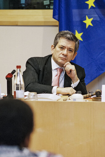 Fotogrāfija 2: Seminar on Africa organized at the European Parliament in Brussels