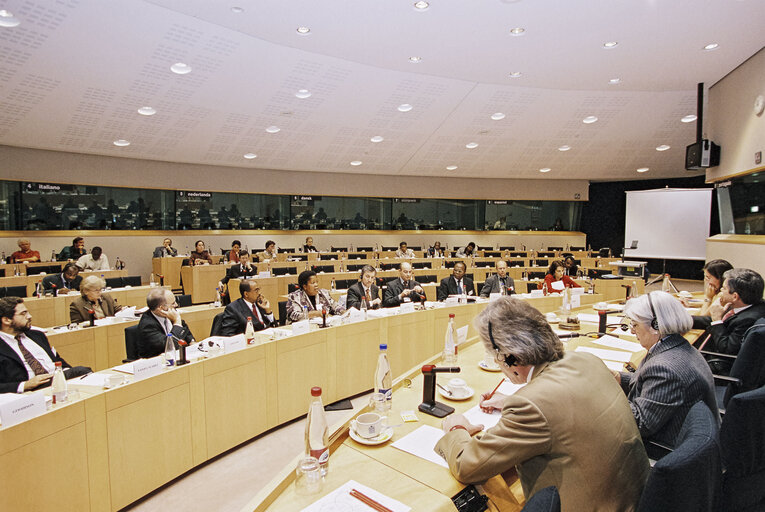 Fotografia 1: Seminar on Africa organized at the European Parliament in Brussels