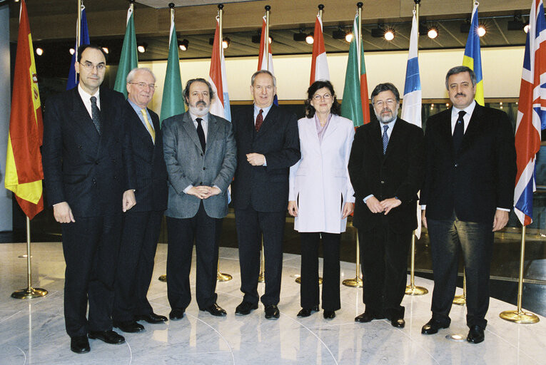 Fotografi 1: Group picture of the Vice-Presidents in Strasbourg