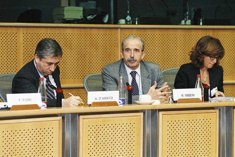 Meeting at the European Parliament in Brussels