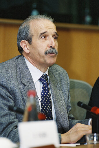Meeting at the European Parliament in Brussels