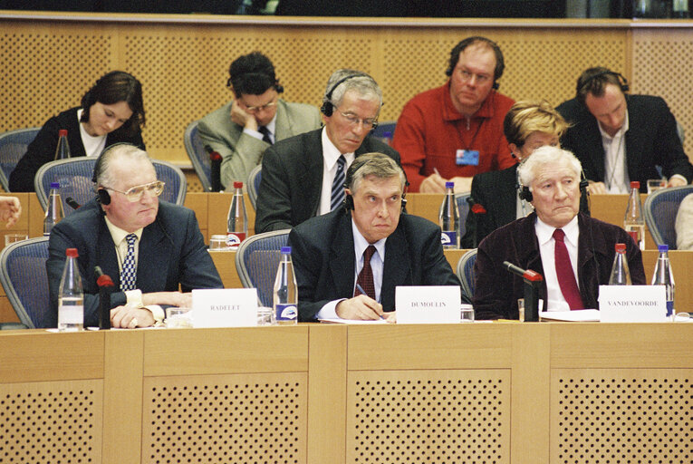 Fotografie 1: Public Hearing: New buildings of the European Parliament in Brussels