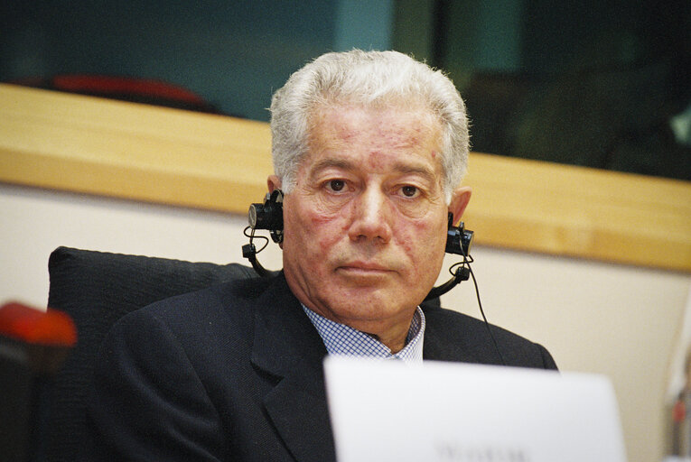 Meeting at the European Parliament in Brussels