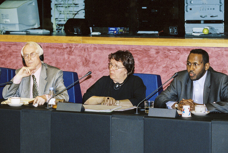 Meeting at the European Parliament in Strasbourg