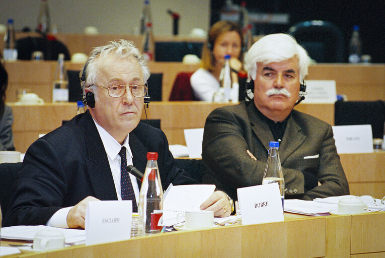 Meeting at the European Parliament in Brussels