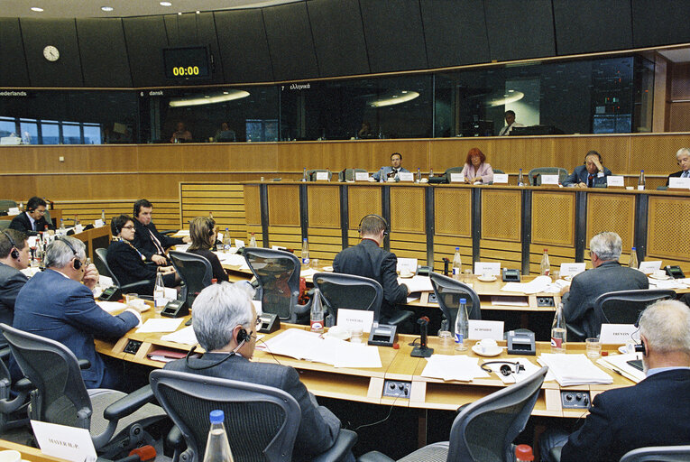 Fotografie 1: ECON Committee Meeting with National Parliaments