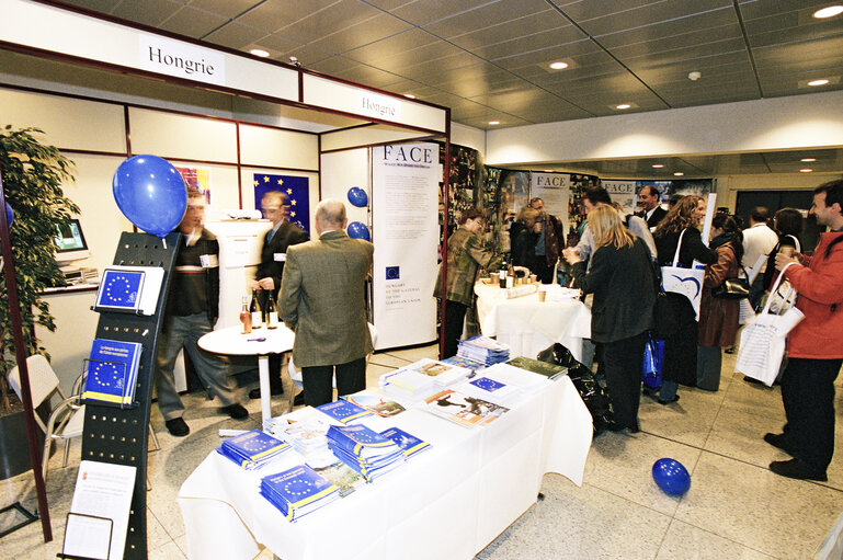 Nuotrauka 24: Open days at the European Parliament in Brussels on May 2002.