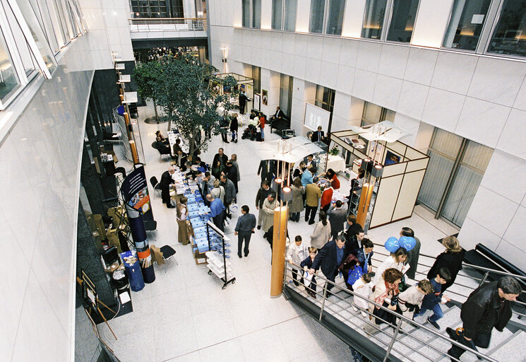 Fotografi 22: Open days at the European Parliament in Brussels on May 2002.