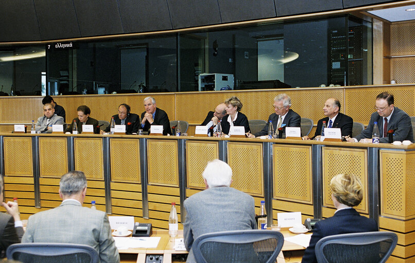 Meeting on the Convention on the Future of Europe