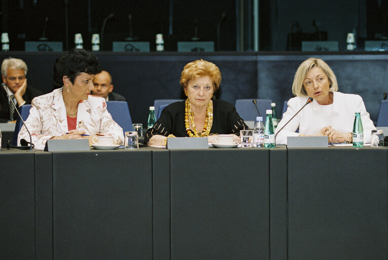 Valokuva 4: Meeting at the European Parliament in Strasbourg