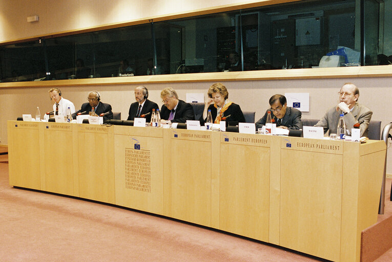 Foto 2: AFET Committee Meeting: Discussion  on Kashmir