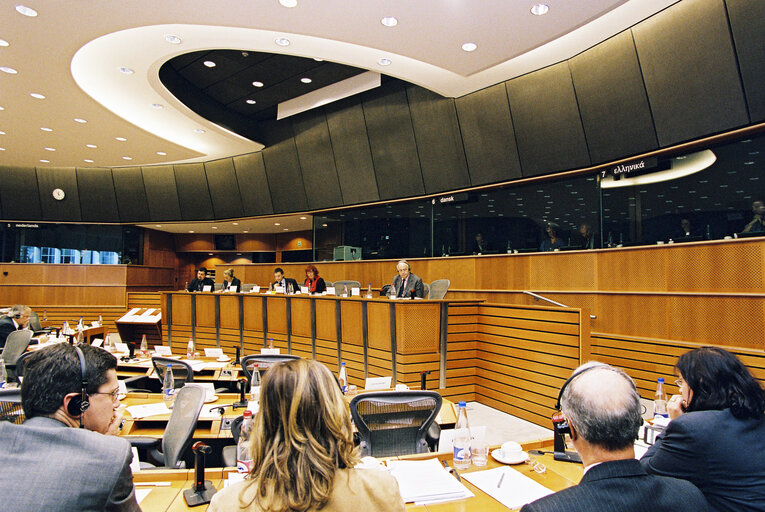 Foto 3: ECON Committee - Public hearing : Financial services prospectuses