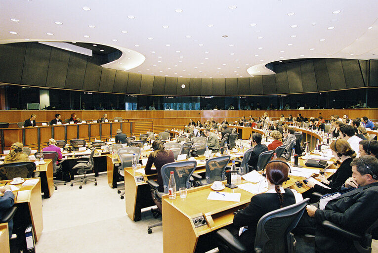 Foto 4: ECON Committee - Public hearing : Financial services prospectuses