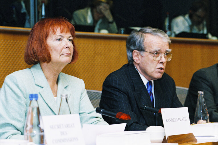 Photo 1: ECON Committee - Discussion with William J. McDONOUGH, President of the Basel Committee on capital adequacy requirements, stock markets situation and financial stability