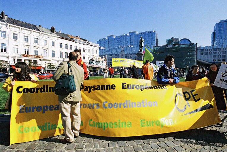 Billede 10: Demonstration against the use of GMO's in food