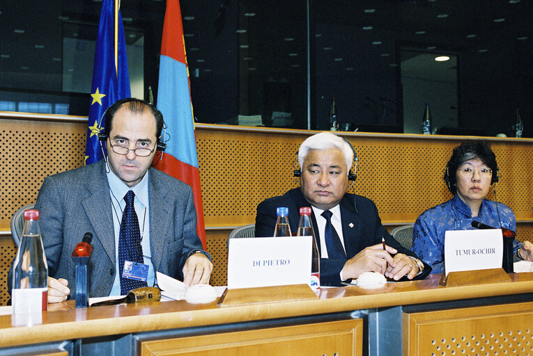 EP-Mongolia interparliamentary meeting