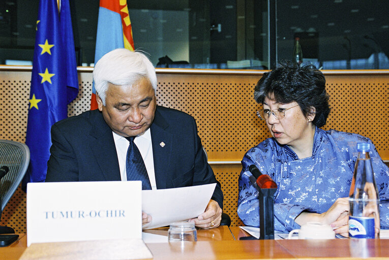 Valokuva 8: EP-Mongolia interparliamentary meeting