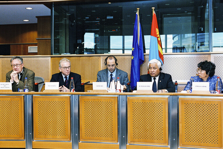 Valokuva 3: EP-Mongolia interparliamentary meeting