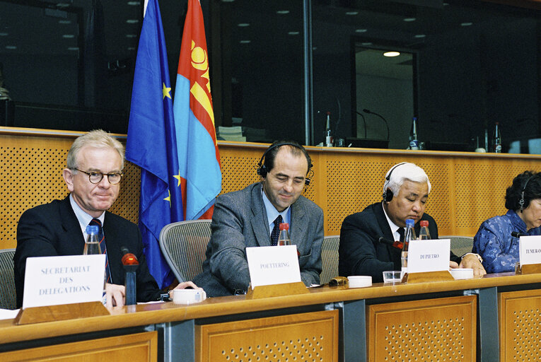 Valokuva 7: EP-Mongolia interparliamentary meeting