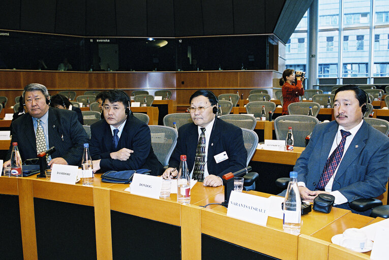 Valokuva 4: EP-Mongolia interparliamentary meeting