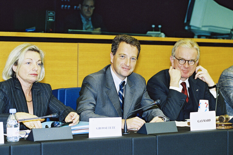 Photo 18 : EPP group meeting with the French Minister for Agriculture Herve GAYMARD in Strasbourg