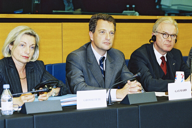 Photo 14 : EPP group meeting with the French Minister for Agriculture Herve GAYMARD in Strasbourg