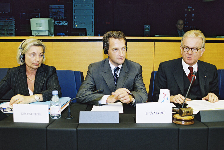 EPP group meeting with the French Minister for Agriculture Herve GAYMARD in Strasbourg