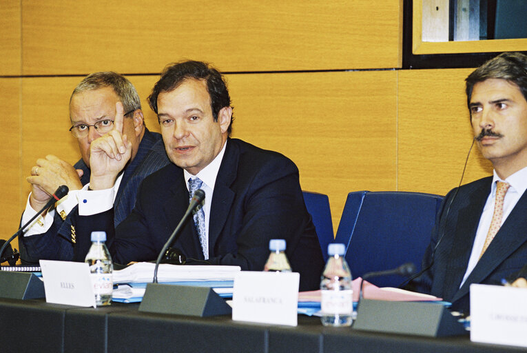 Photo 19 : EPP group meeting with the French Minister for Agriculture Herve GAYMARD in Strasbourg