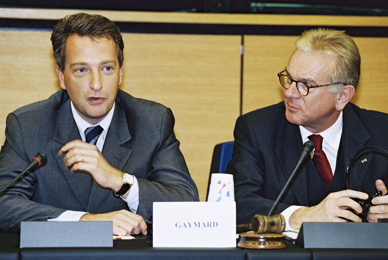 EPP group meeting with the French Minister for Agriculture Herve GAYMARD in Strasbourg