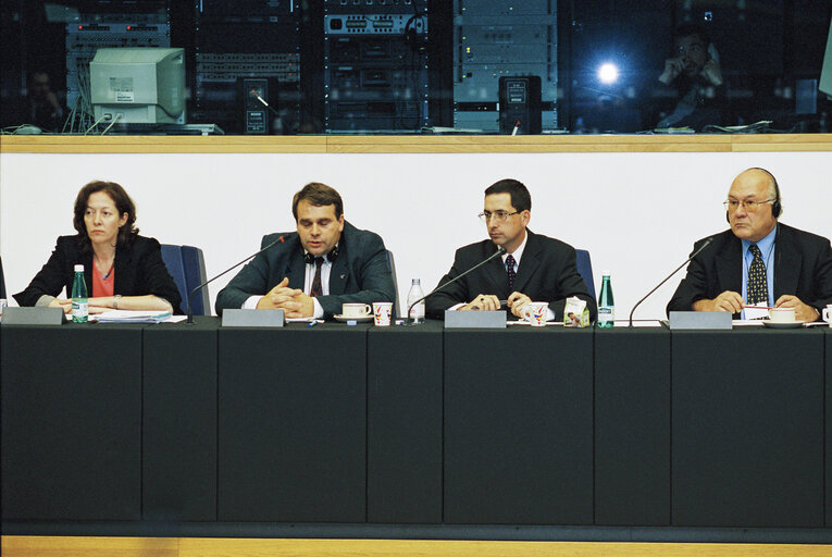 Foto 4: Intergroup meeting on animals