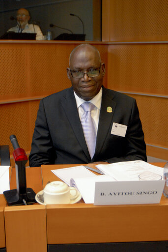 Foto 2: Members of the ECOWAS delegation