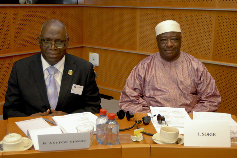 Members of the ECOWAS delegation