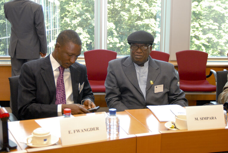 Foto 5: Members of the ECOWAS delegation