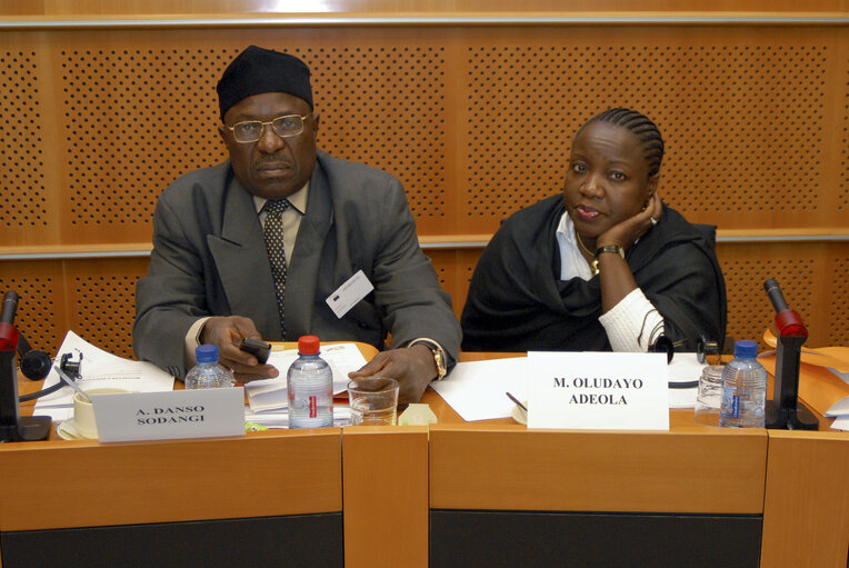 Foto 9: Members of the ECOWAS delegation