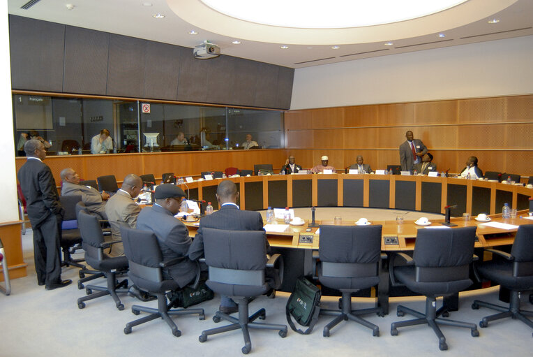 Foto 1: Members of the ECOWAS delegation